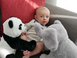 louis